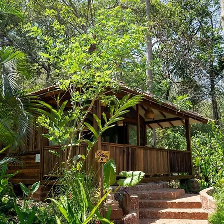 Mojigao - Eco Resort